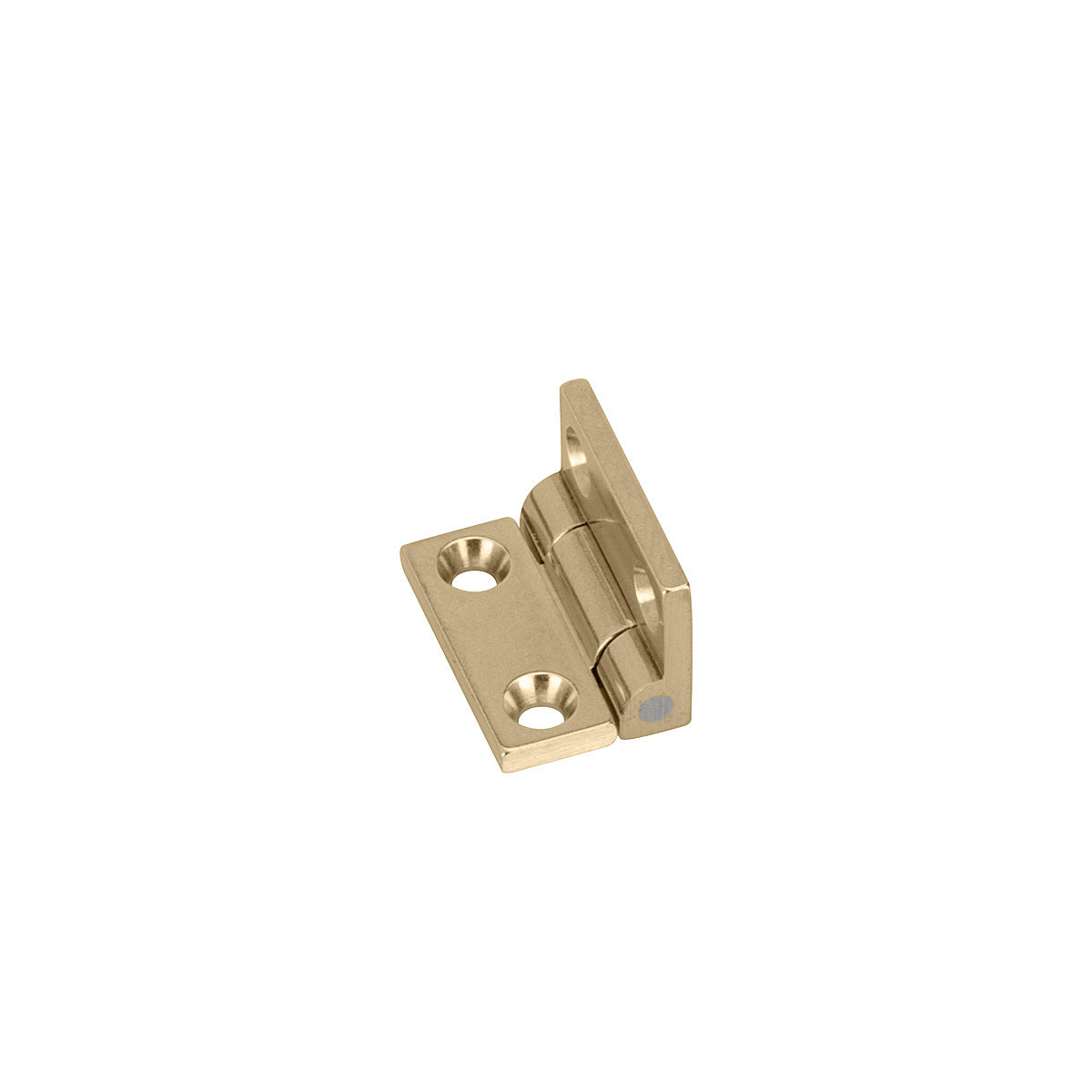 Brass Stop Hinges