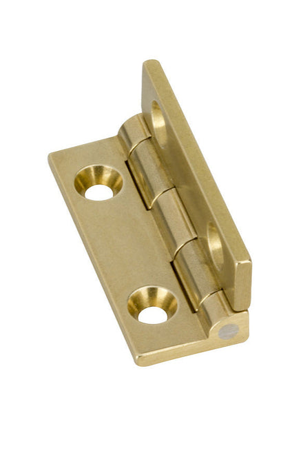 Brass Stop Hinges