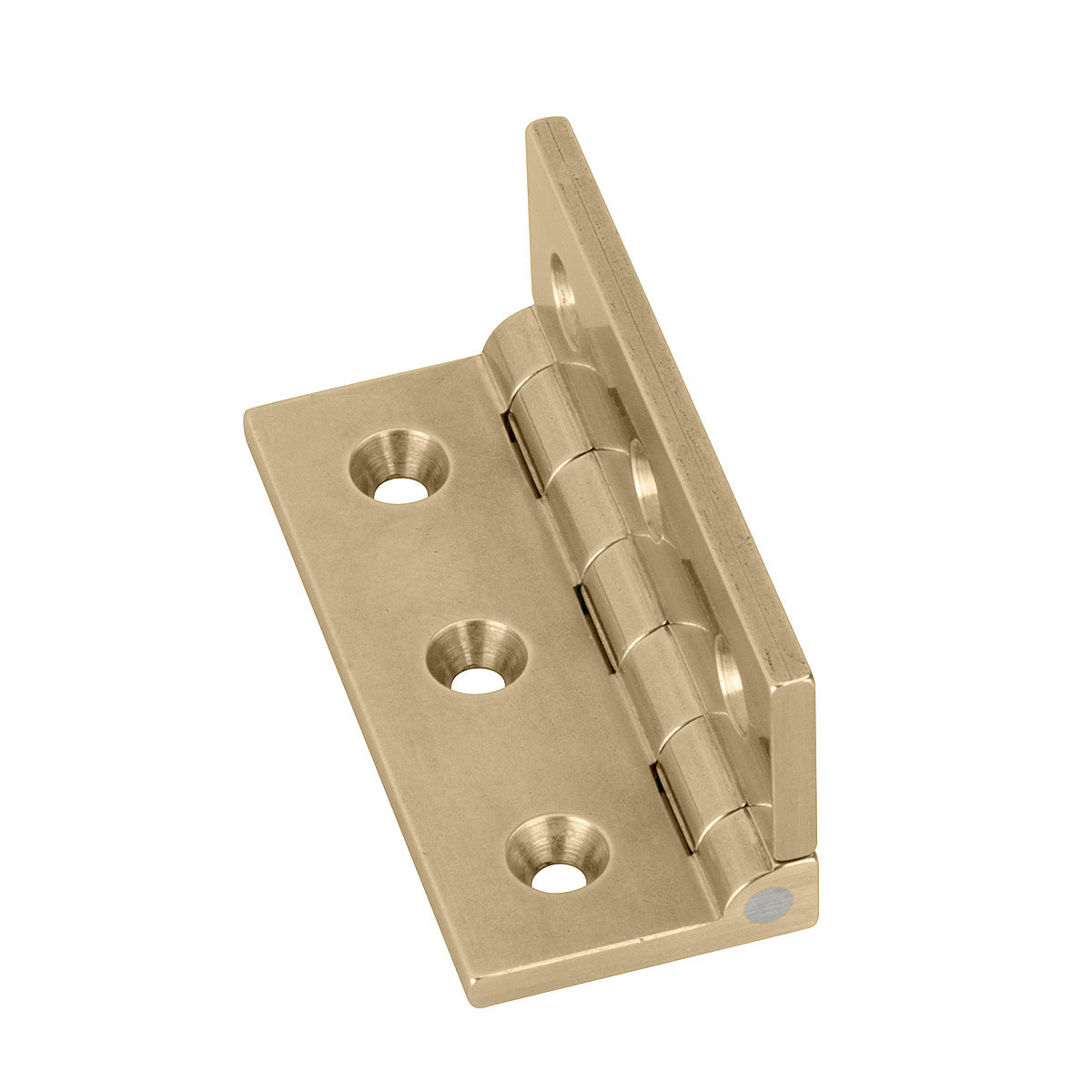 Brass Stop Hinges