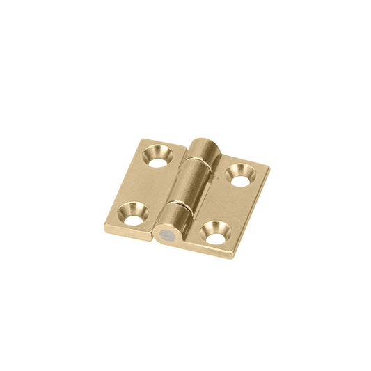 Brass Butt Hinges